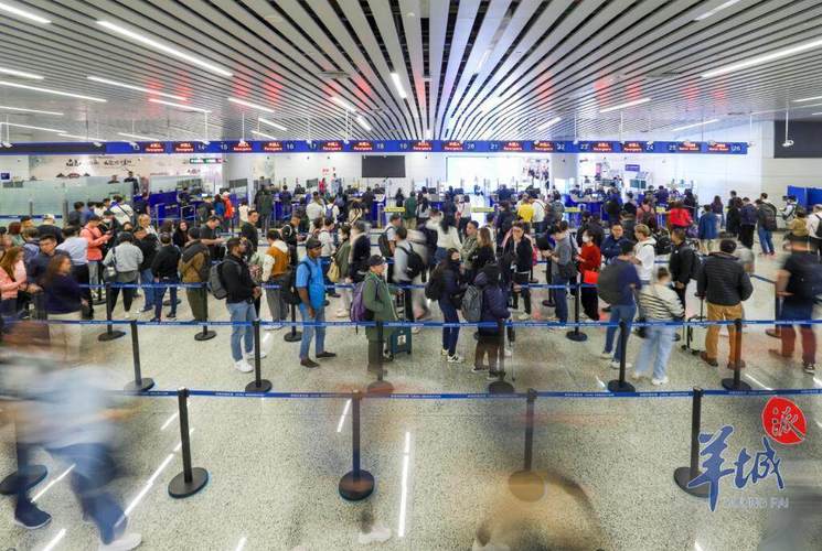 广州白云机场口岸今年出入境客流量同比增长近160%