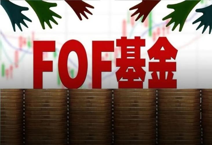 全国首例以所谓“FOF基金”形式提供场外配资非法经营犯罪案件一审公开宣判