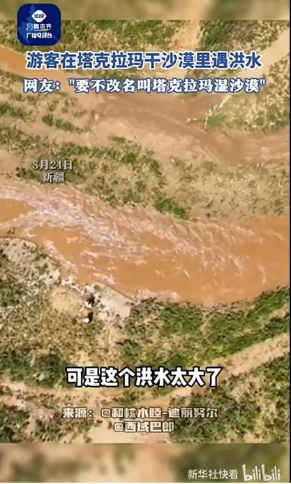 几十年荒漠变绿洲 塞北的故事为什么让人感动?