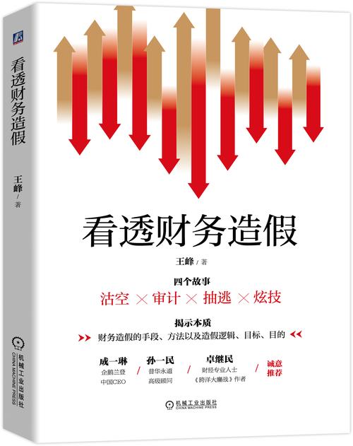 剑指上市公司财务造假,财务审计如何贡献专业力量?