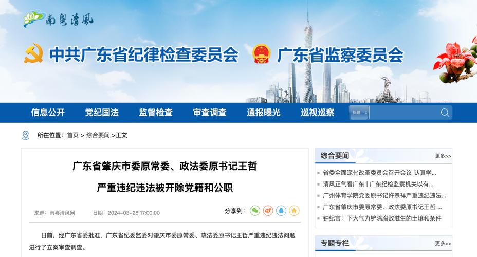 广东省茂名市委原常委、政法委原书记赵广辉被开除党籍