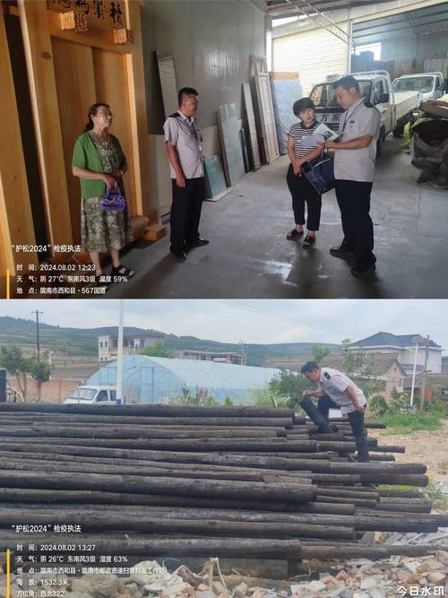 广东启动“护松2024” 推进松材线虫病疫情防控