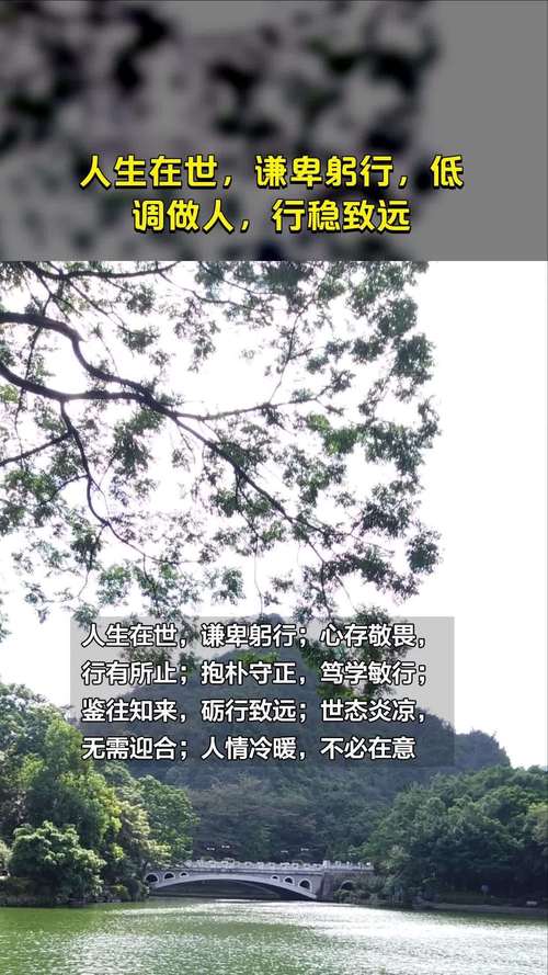 法润蜀道二十载:甘肃陇南何以行稳致远?