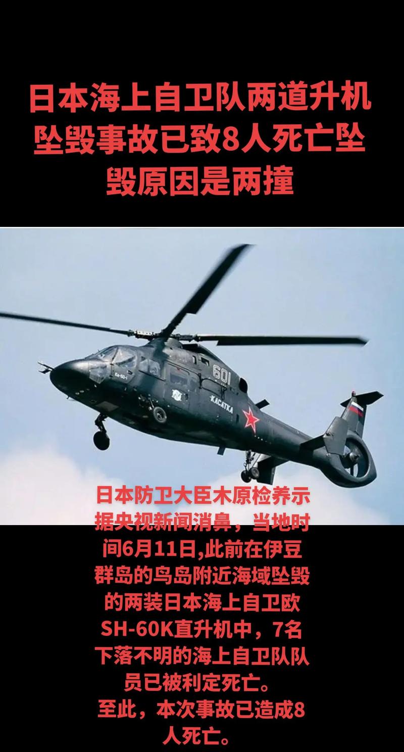 一架飞往日本的客机发生袭击事件 飞机紧急着陆
