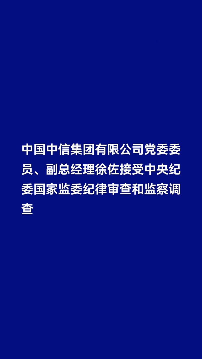 中国中信集团有限公司副总经理徐佐接受审查调查
