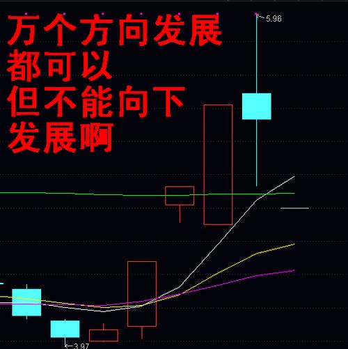 海源复材2月10日快速上涨