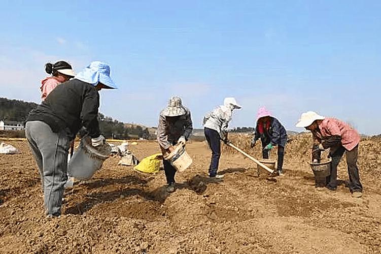 各地春耕备耕有序推进——夯实全年粮食稳产增产基础