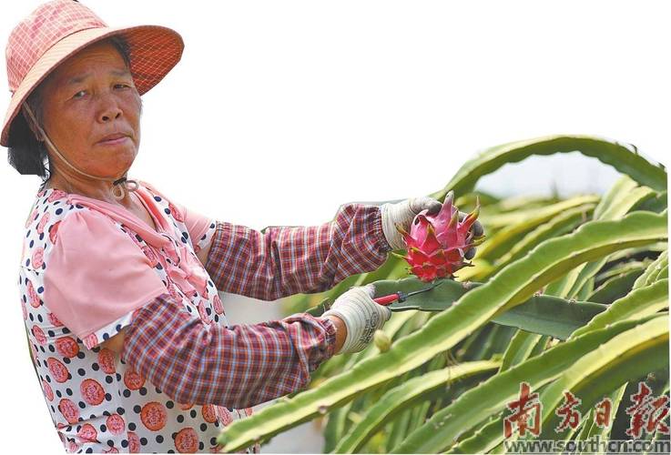 (八闽千姿)闽南小山村的蜕变:“赊寨”变景区 村民变股东