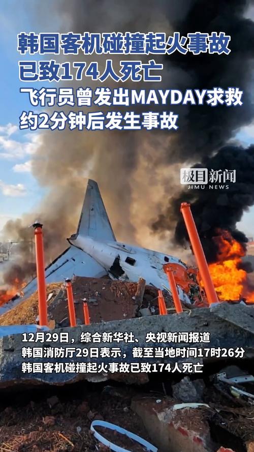 韩国全罗南道务安机场发生客机起火事故