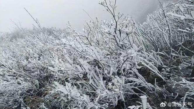 强冷空气袭粤 部分地区现冰挂